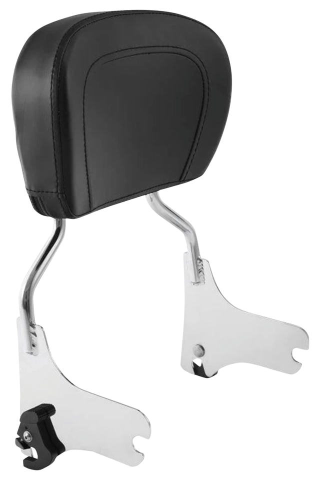 DETACHABLE PADDED SISSY BAR FOR TOURING