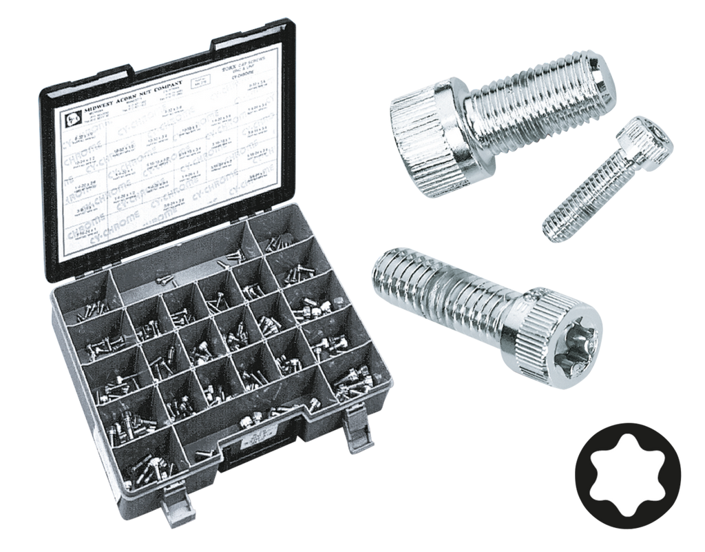 CHROME PLATED TORX HEAD SCREWS ASSORTMENT