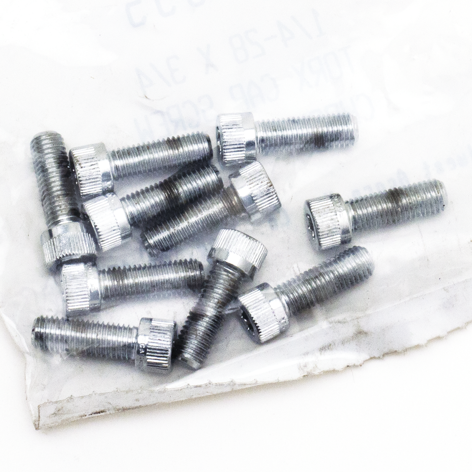 CHROME PLATED TORX HEAD SCREWS ASSORTMENT