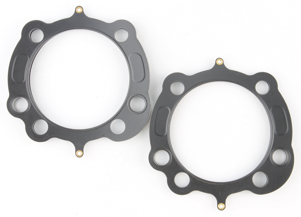 GASKETS, O-RINGS AND SEALS FOR 2004 TO PRESENT XL & XR SPORTSTER AND 2003-2010 BUELL