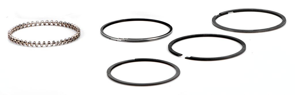 HASTINGS PISTON RING SETS