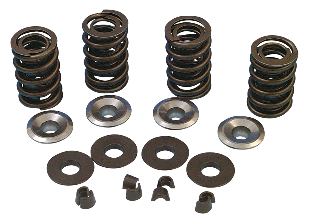 V-THUNDER VALVE SPRING SETS