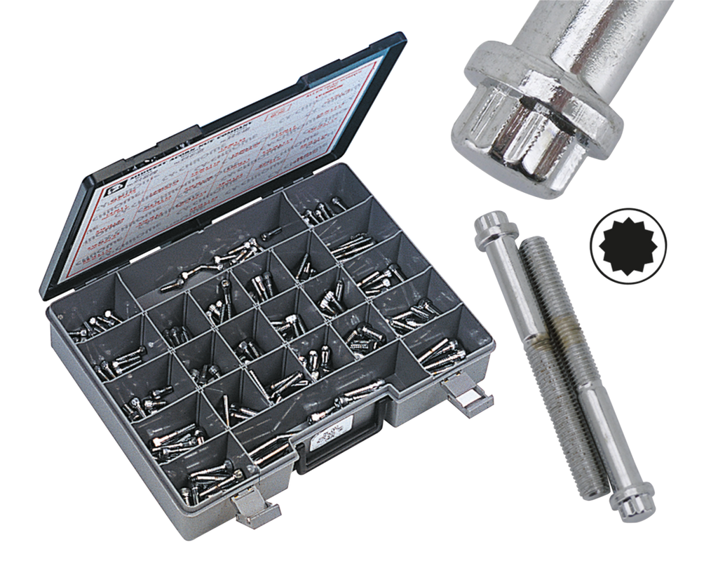 CHROME PLATED 12 POINT BOLT ASSORTMENT TRAY