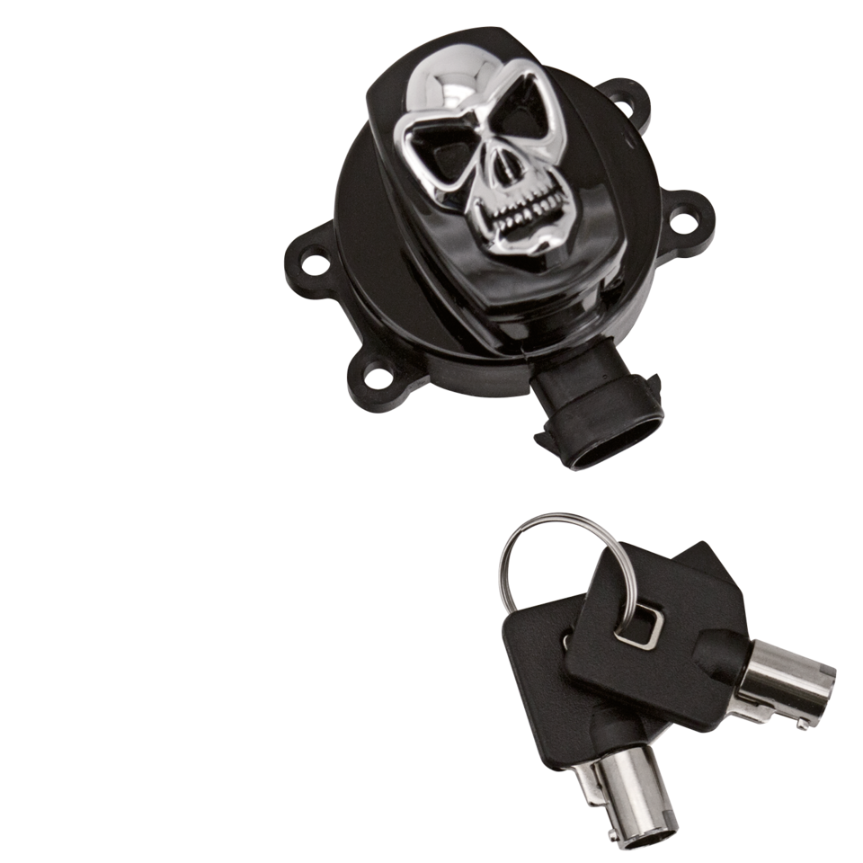 ZODIAC SKULL IGNITION SWITCHES