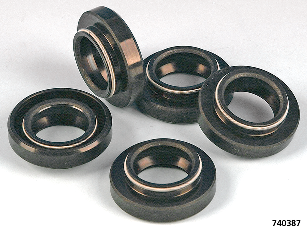 GASKETS, O-RINGS AND SEALS FOR PRIMARY ON 5 SPEED BIG TWIN LATE 1979-2006