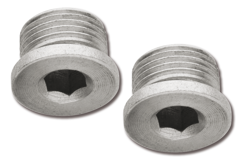 O2 SENSOR BUNG PLUGS AND ADAPTERS