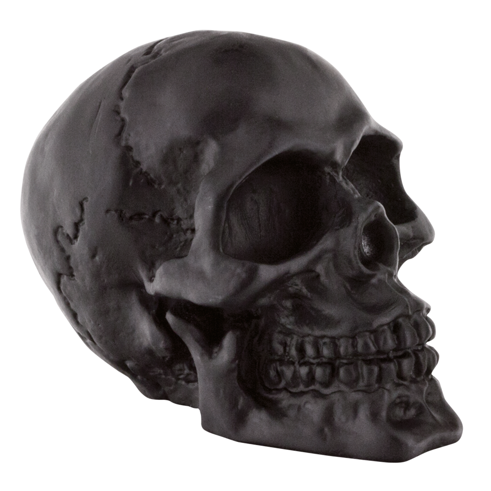 GENUINE ZODIAC SKULLS