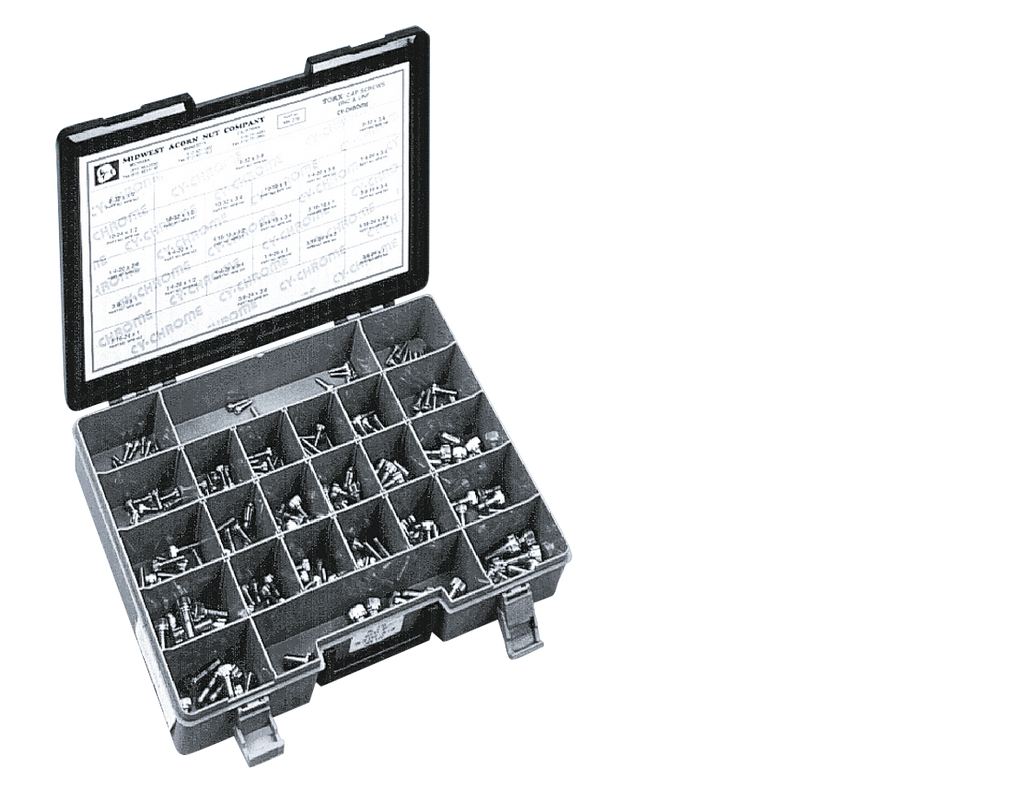 CHROME PLATED TORX HEAD SCREWS ASSORTMENT