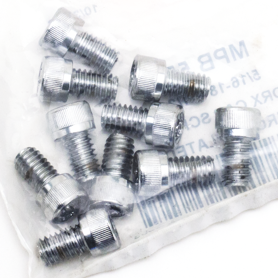 CHROME PLATED TORX HEAD SCREWS ASSORTMENT