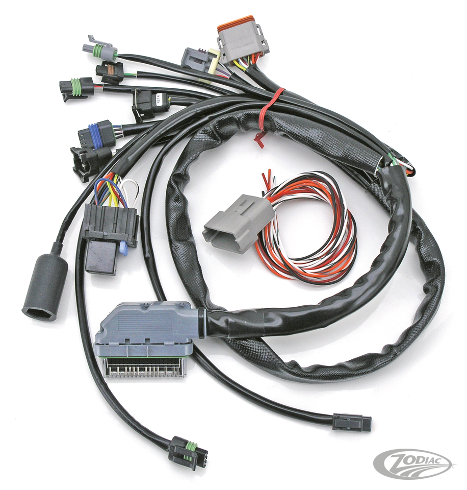 S&S CUSTOM DELPHI-STYLE EFI WIRING HARNESS