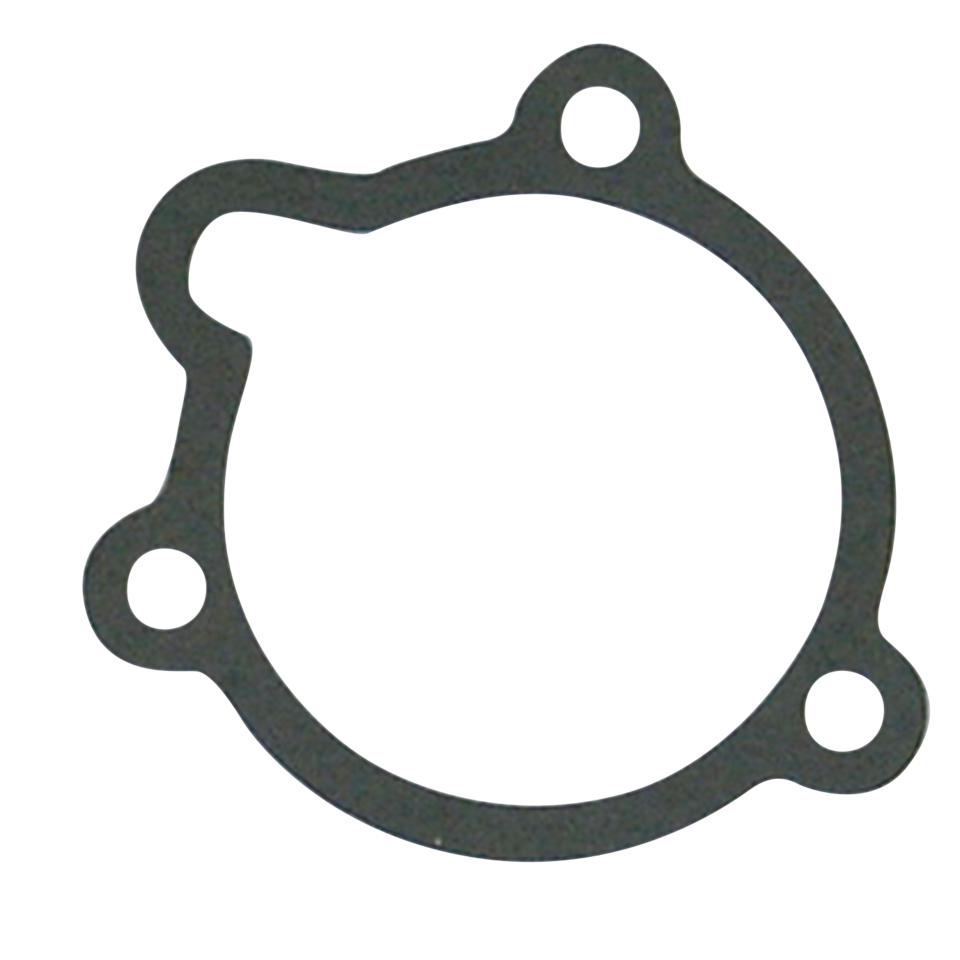 SPECIAL CARBURETOR AND MANIFOLD GASKETS