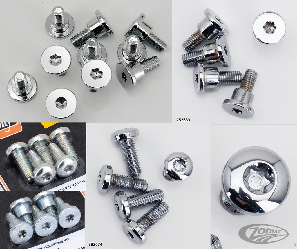 BRAKE ROTOR SCREWS FOR V-ROD